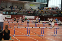 NW Halle 