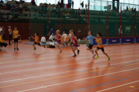 NW Halle 