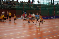 NW Halle 