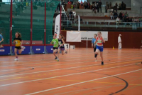 NW Halle 