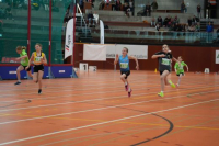 NW Halle 