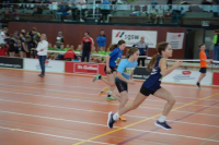 NW Halle 