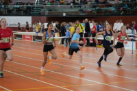 NW Halle 