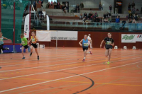 NW Halle 