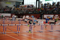 NW Halle 