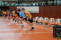 NW Halle 