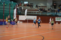 NW Halle 