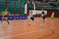 NW Halle 