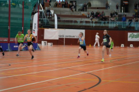 NW Halle 