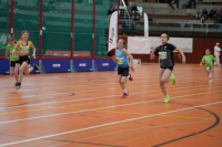 NW Halle 