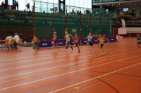NW Halle 