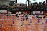 NW Halle 