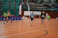 NW Halle 