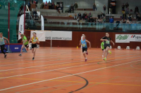 NW Halle 