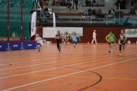 NW Halle 