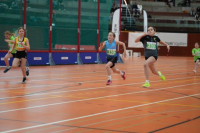 NW Halle 