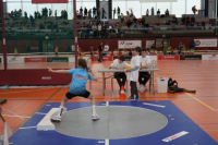 NW Halle SG