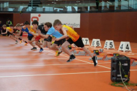 NW Halle SG