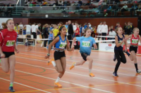 NW Halle SG