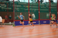 NW Halle SG