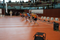 NW Halle SG