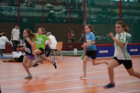 NW Halle SG