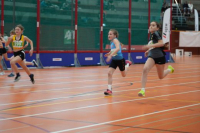 NW Halle SG