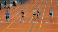 NW Halle SG
