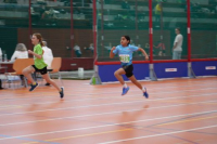 NW Halle SG