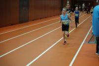 NW Halle SG