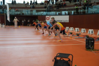 NW Halle SG
