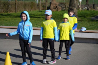 Trainingstage