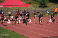 Visana Sprint