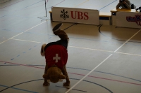 UBS Kids Cup  CH
